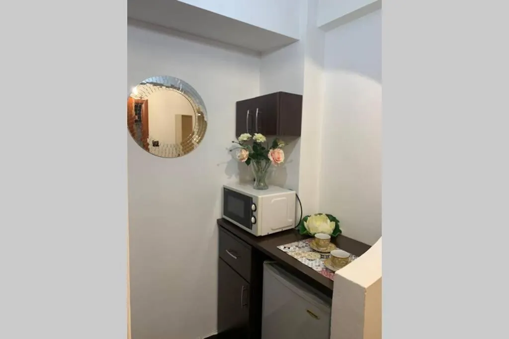 Lovely Studio In The Heart Of Bucharest-1