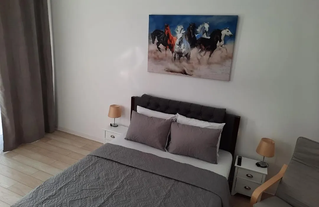 Luxury City Center Apartment - Garofita Romana-1