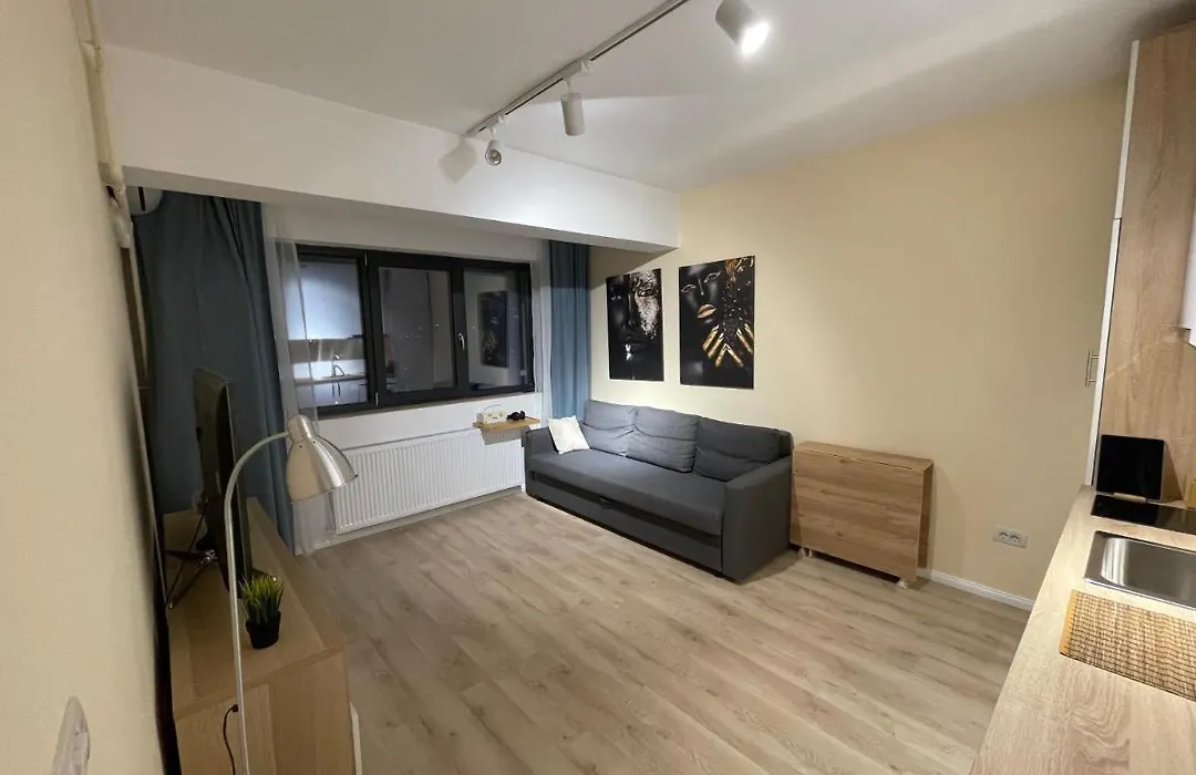 Riverside Luxury Apartment Near President Palace-1