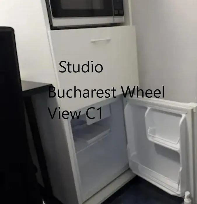 Bucharest Wheel View-1