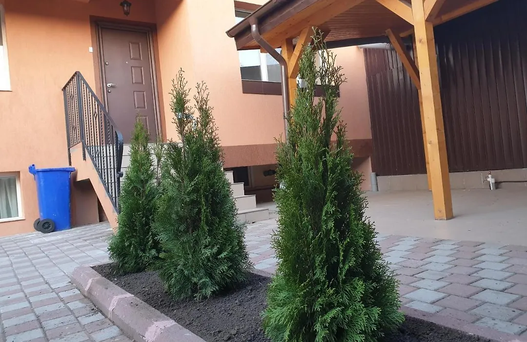 Villa Accommodation-1