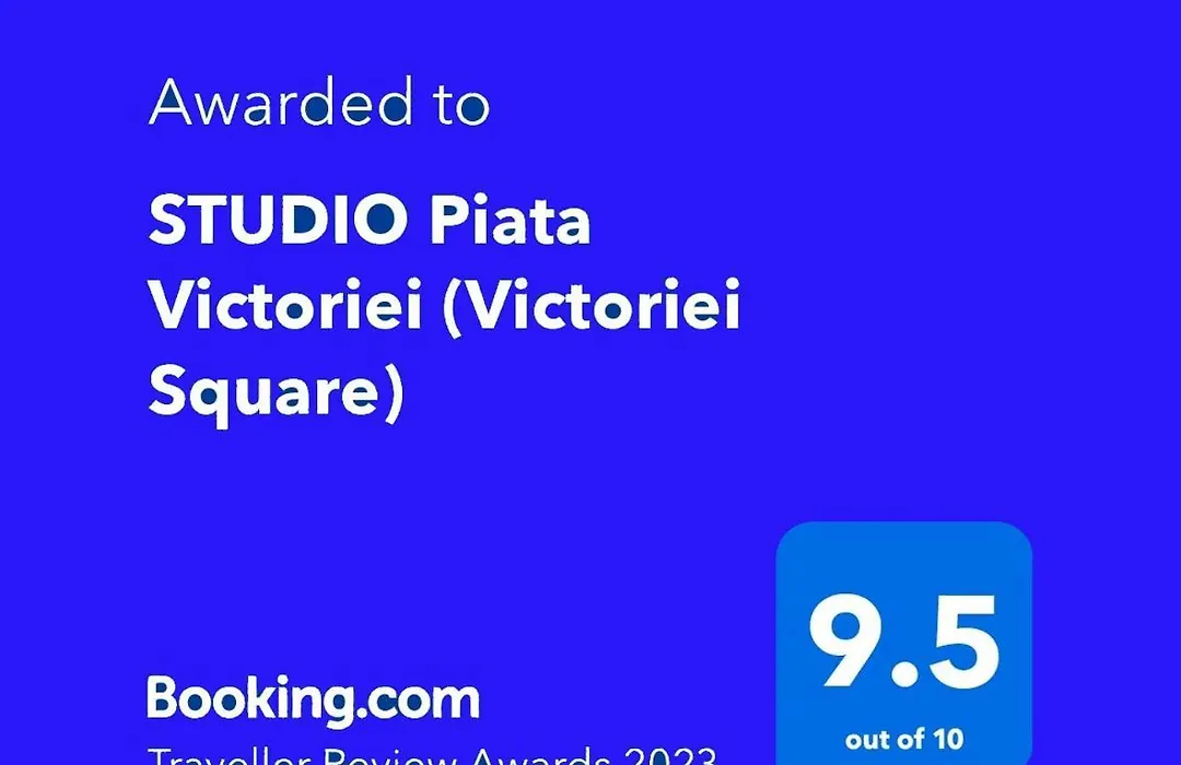 STUDIO Piata Victoriei (Victoriei Square)-1