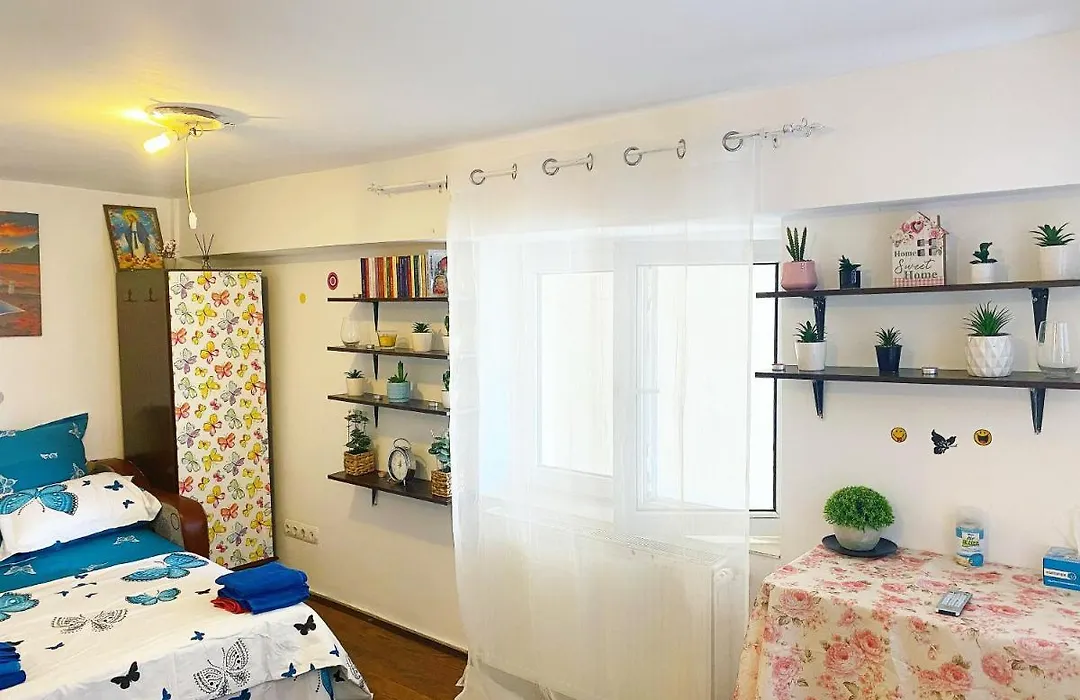 Casa Andu-1