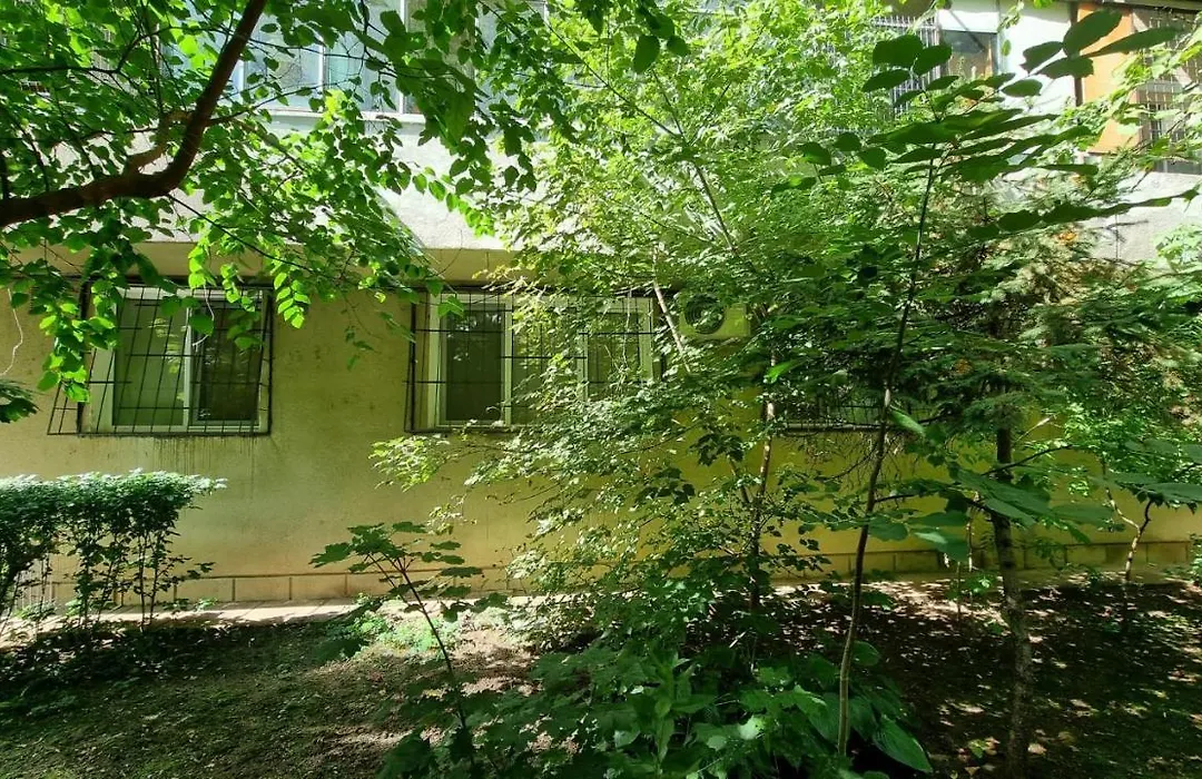 Mihaela Apartment-1