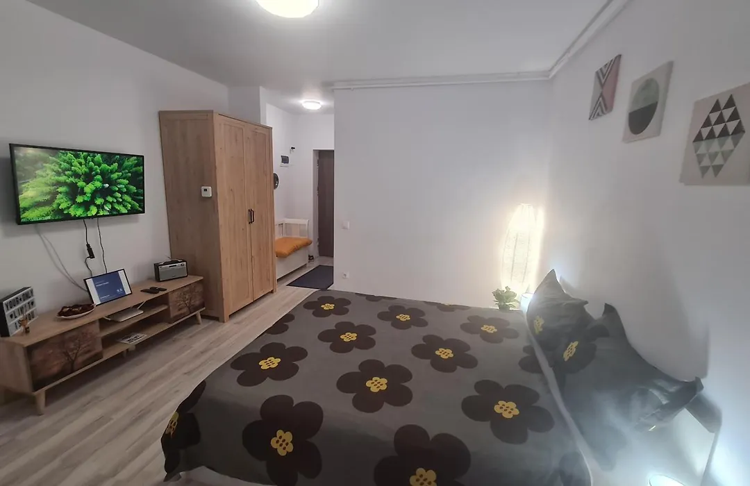 Siriului Studio-1