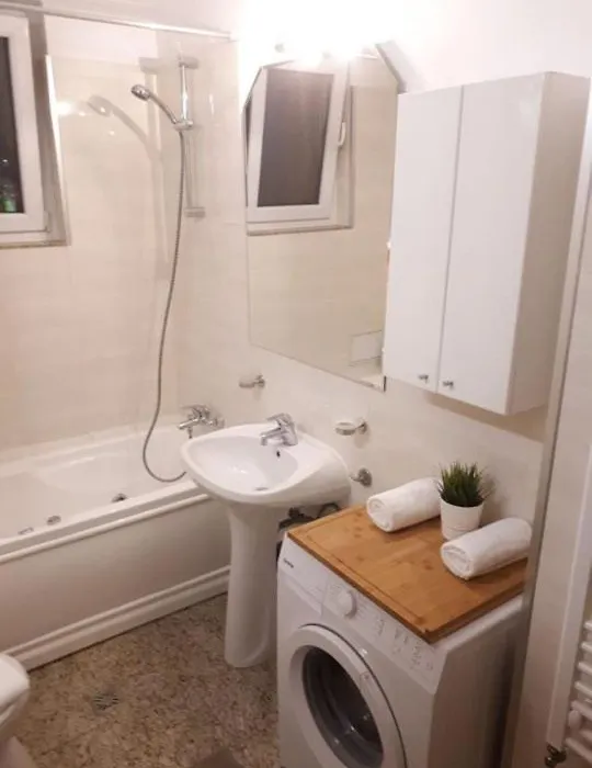 Sunny Cozy Apartament Floreasca-1