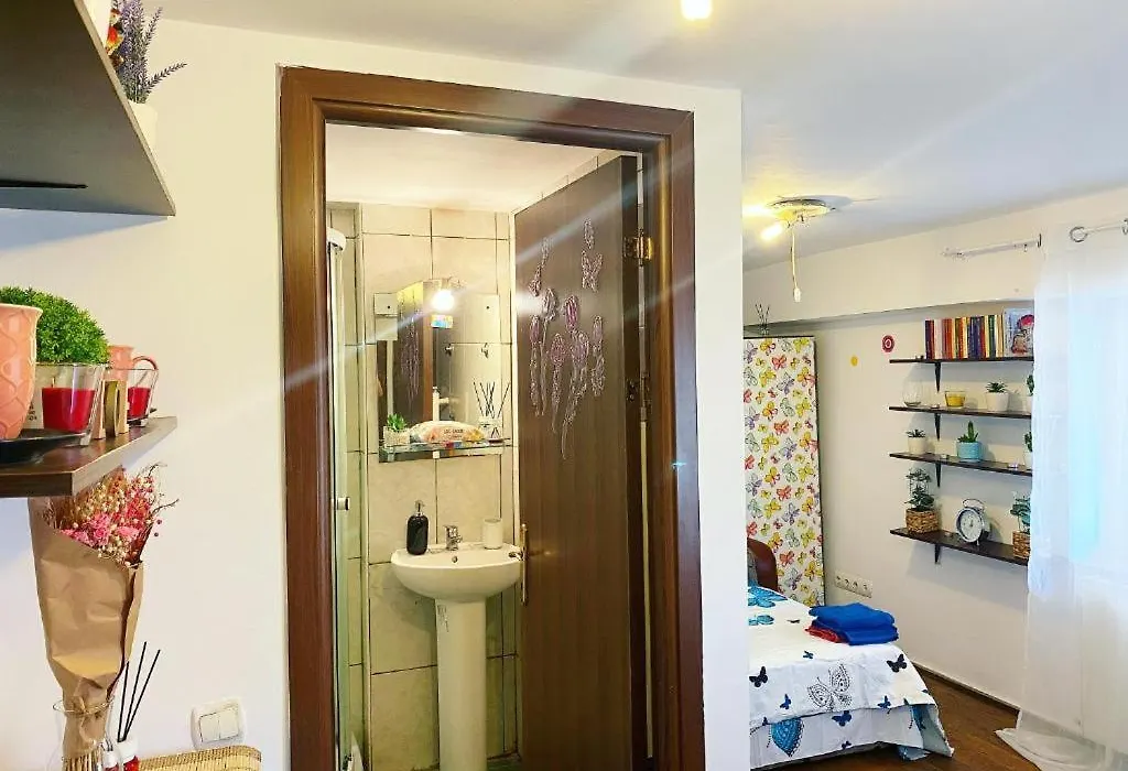 Andu Apartament-1