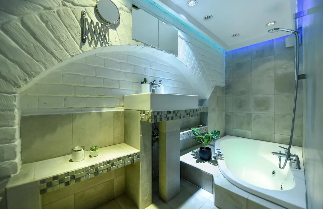 Central Comfort - Duplex-Style Studios On Regina Elisabeta-1