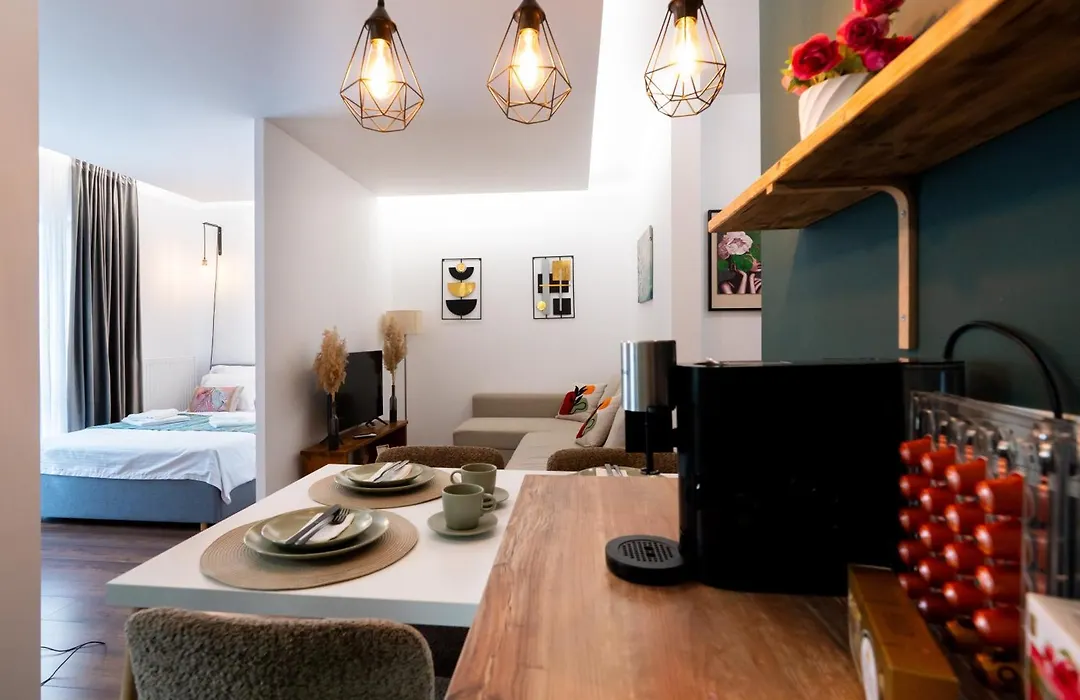Soni Exclusive Studio Plaza With Private Parking & Self Check-In-1