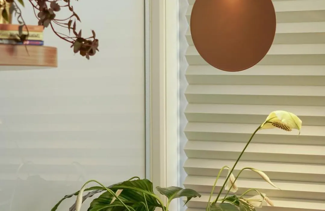 Aozora Central Studio-1