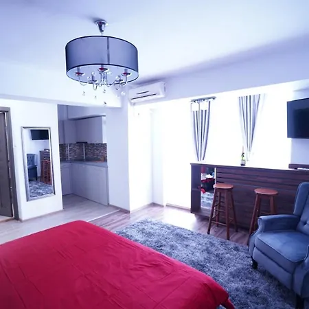 Luxury 1BR studio near Hanul Drumetului Bucharest-3