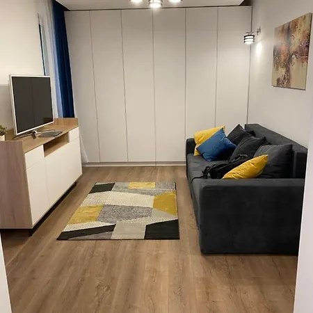 Cozy Apartment In The Business Area Of Bucharest-3
