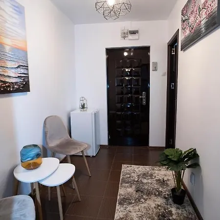 Garsoniera LUX Drumul Taberei-3