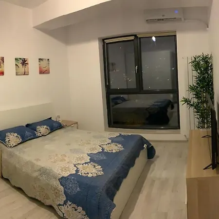Ray Luxury Apartment Close To Presidential Palace-3