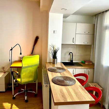 Victoriei Studio-3