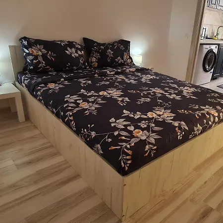 Siriului Studio-2