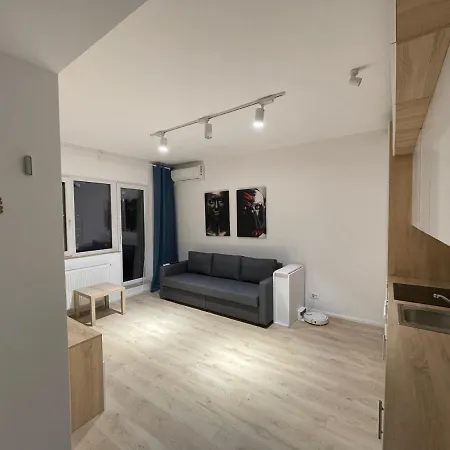 Treasure Luxury Apartment Palace-3