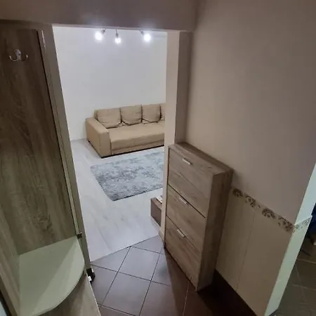 Mihaela Apartment-3