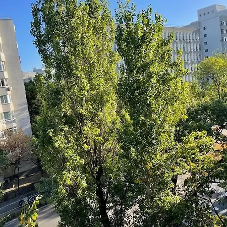 Mav Bucharest-3
