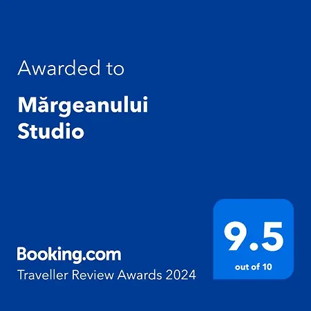 Mărgeanului Studio-2
