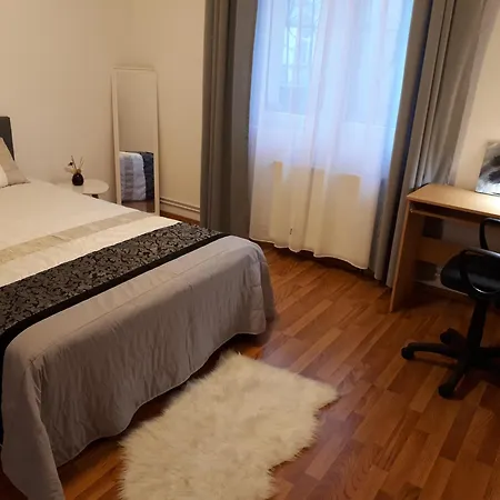 Sunny Cozy Apartament Floreasca-3