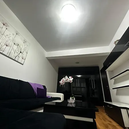 Nicolae Grigorescu Luxury Residence-3