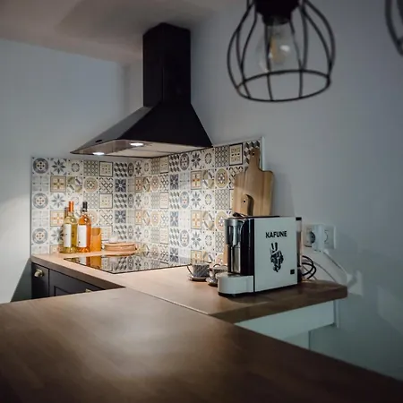 Cotroceni Accommodations-2