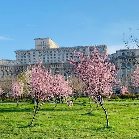 Chic Apartment Piata Constitutiei - Near The Palace Of Parliament-3