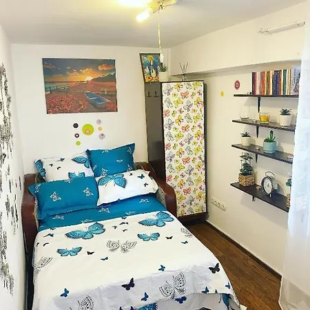 Andu Apartament-2