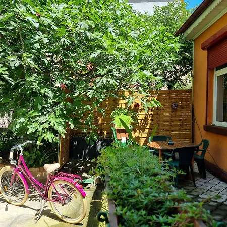 Casa Aron-2
