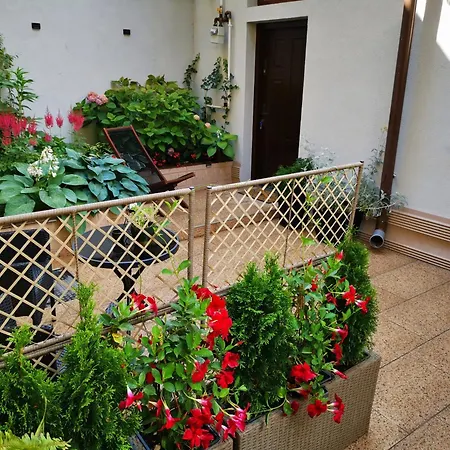 Cozy Green House-3