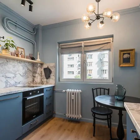 Cozy Urban Studio Piata Victoriei-2