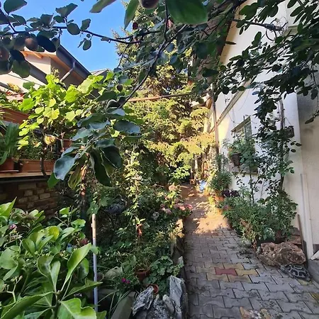 Mansarda boema, gradina de basm-3