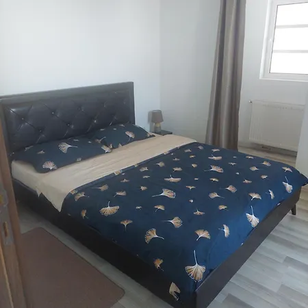 Miro House-2