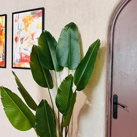 Ideal Home - Spacious & Modern Accommodation Near Unirii Square-3