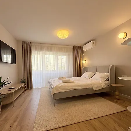 AXA Central Studio - Tineretului-2