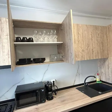 Alexandru Apartment-2