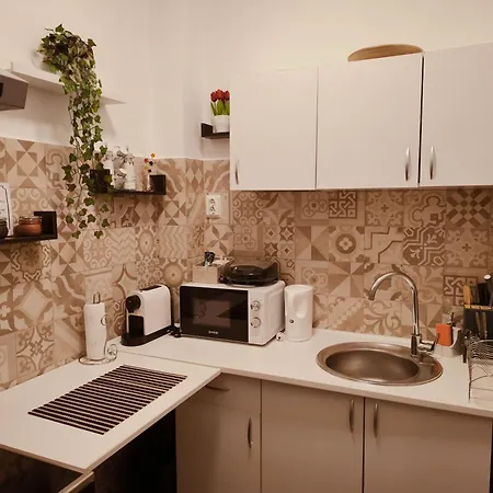 The Corner Loft - Cismigiu Garden-3