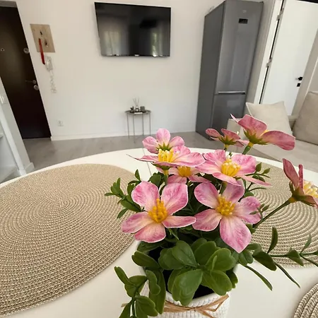 Orchid Apartment-2