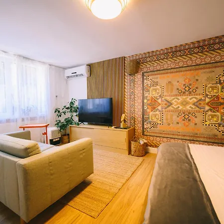 Cotroceni Accommodations Studio-3