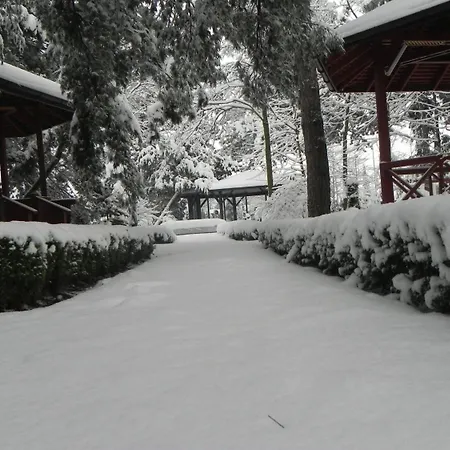 Hotel Baneasa Parc-2