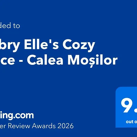 Gabry Elle's Cozy Place - Calea Moșilor-3