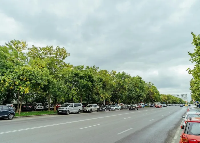 Herastrau Arancia Studio - Business District