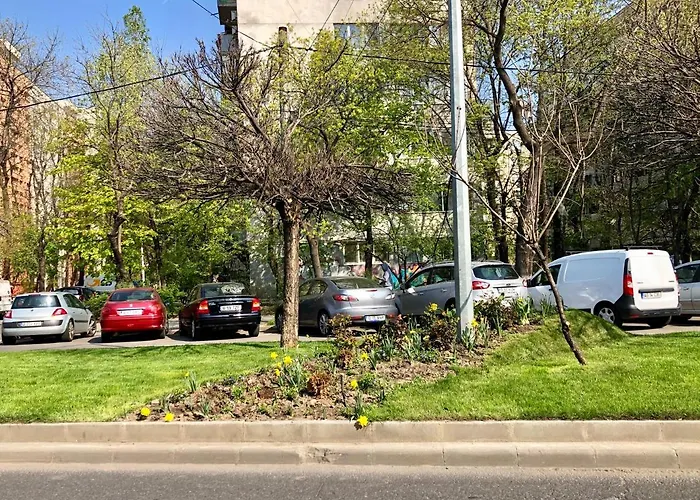 Cozy And Clean Apartment, Near National Arena