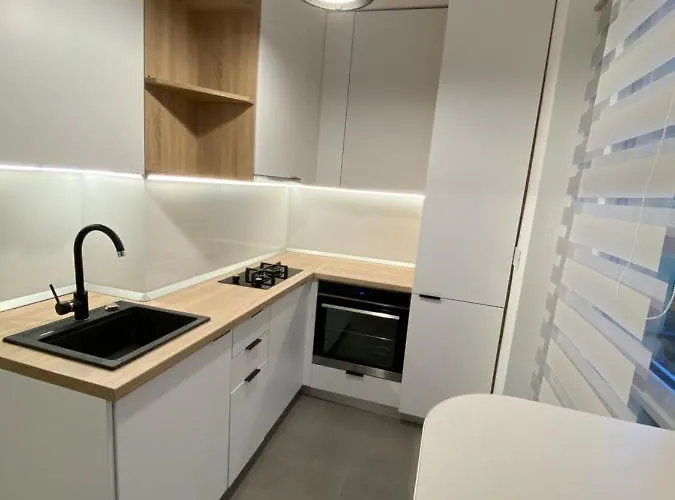 Cozy Apartment In The Business Area Of Bucureşti, România