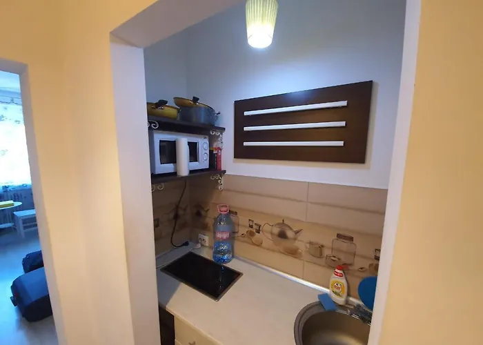 Centru Charming New Apartament Piata Universitate