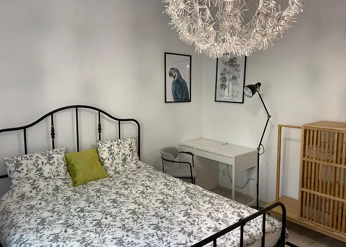 Studio Clucerului 8