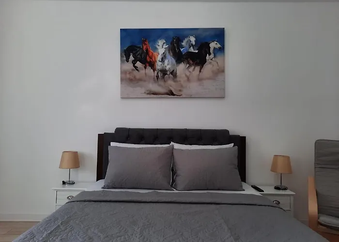 Luxury City Center Apartment - Garofita Romana Bucharest, Romania
