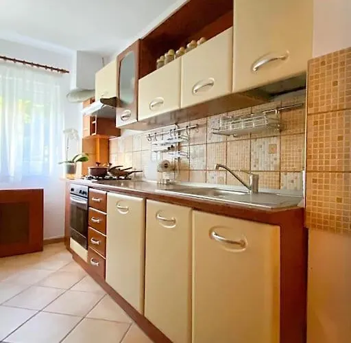 Lovely & Quiet 1-Bedroom Condo With Free Parking Bucureşti, România