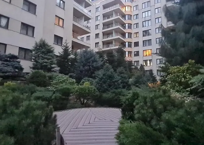 Garden Oasis Studio Bucureşti, România